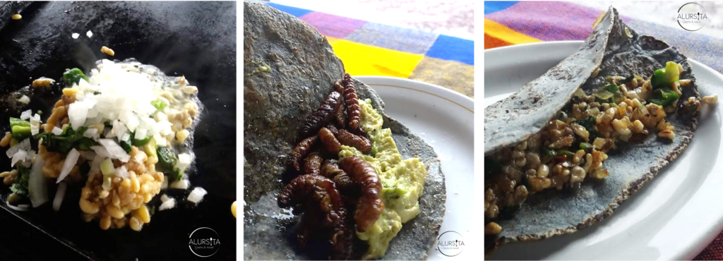 Insectos comestibles en México,Restaurante El Fogón de la Abuela 