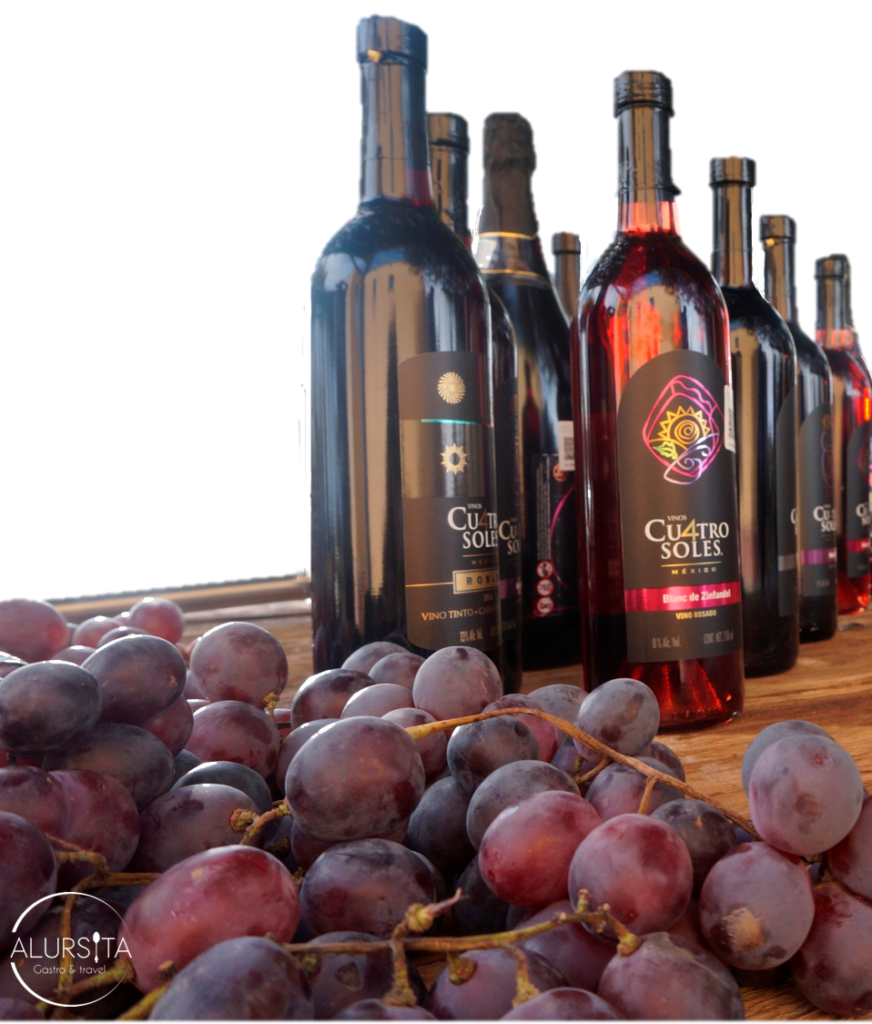 Experiencia Vinos Cu4tro Soles STK Polanco CDMX