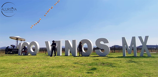 Los 10 años de 100 vinos mexicanos 2019