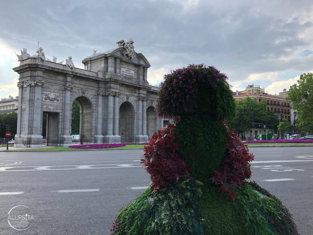 Mujer de tercera edad viajando