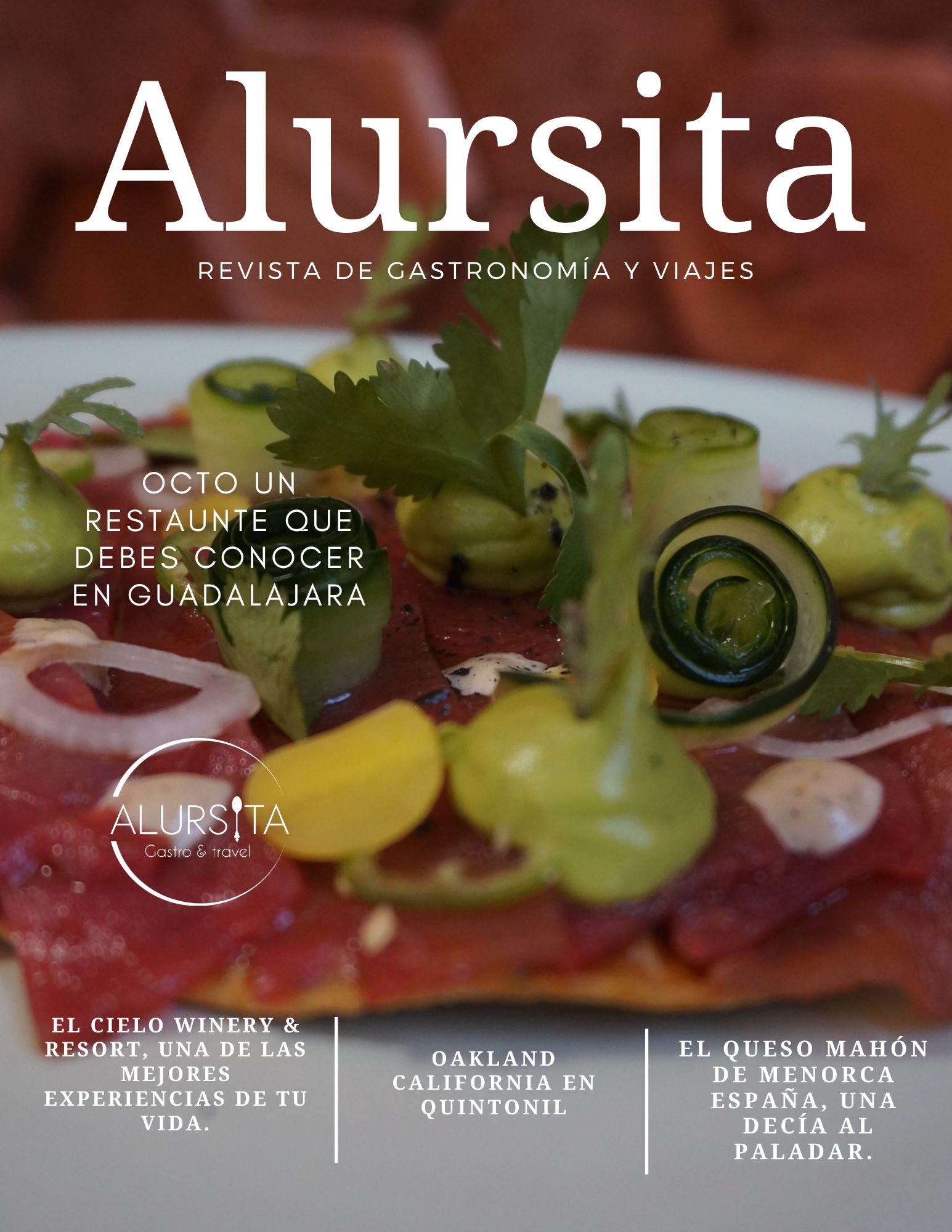 Revista gastronomía